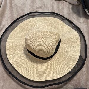 Elegant Black and Tan Wide Brim Hat